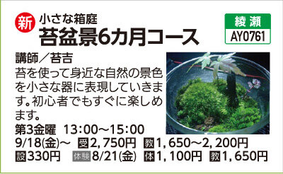 苔盆景6カ月コース