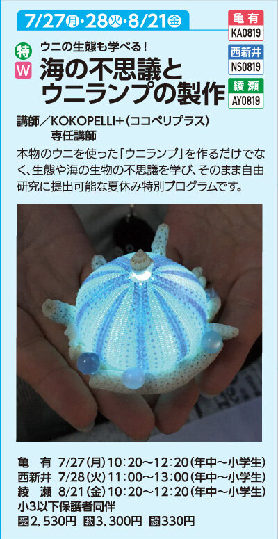 海の不思議とウニランプの製作