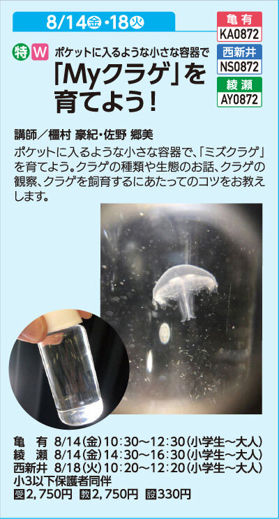 「Myクラゲ」を育てよう！