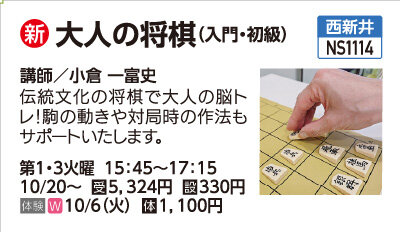 大人の将棋(入門・初級）