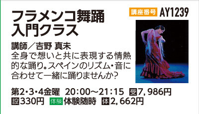 フラメンコ舞踊入門クラス