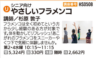 やさしいフラメンコ