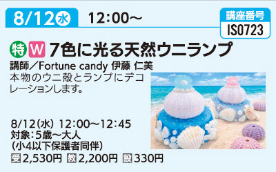 ７色に光る天然ウニランプ