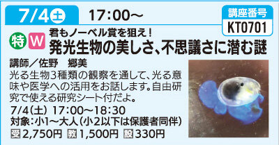 発光生物の美しさ、不思議さに潜む謎