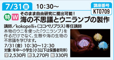 海の不思議とウニランプの製作