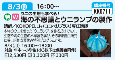 海の不思議とウニランプの製作