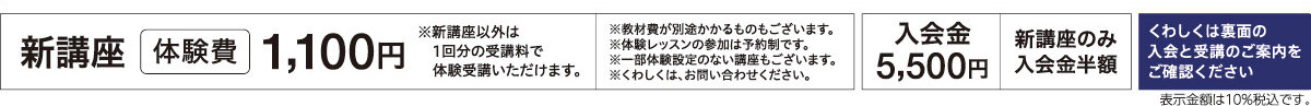 メゾンカルチャークラブ溝の口WEBチラシ