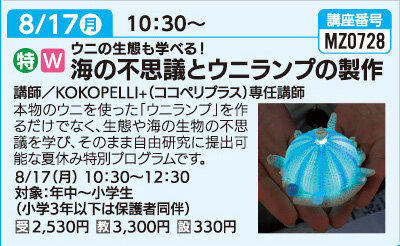 海の不思議とウニランプの製作