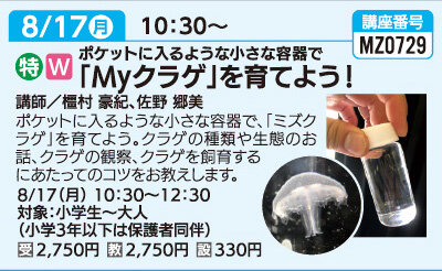 「Myクラゲ」を育てよう！