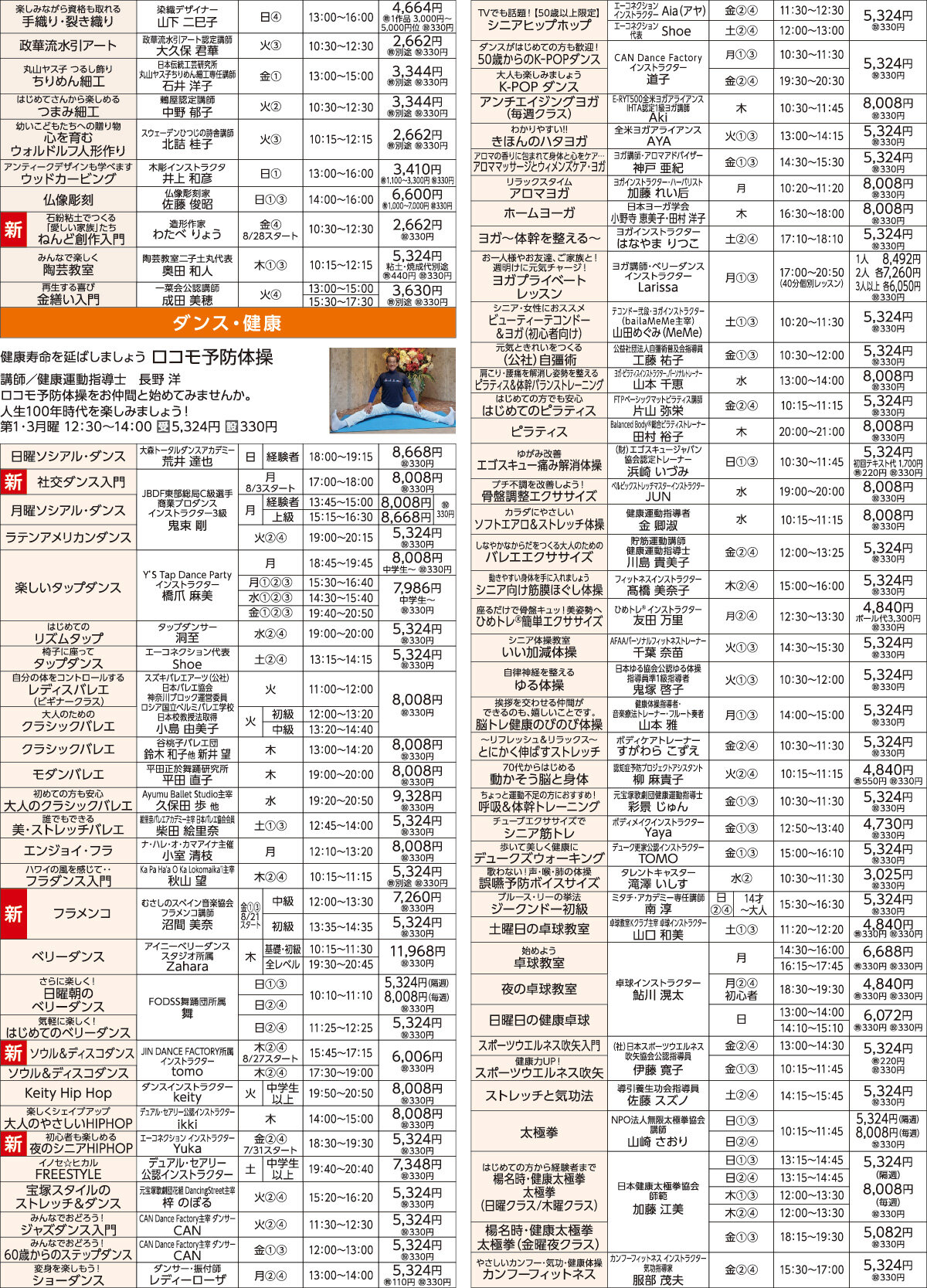 メゾンカルチャークラブ溝の口WEBチラシ