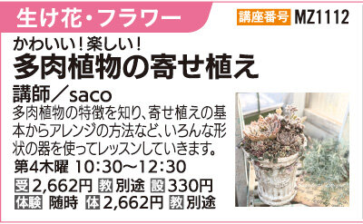 多肉植物の寄せ植え