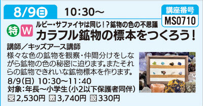 カラフル鉱物の標本をつくろう！
