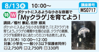 「MYくらげ」を育てよう！