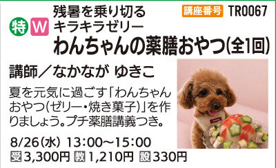 わんちゃんの薬膳おやつ