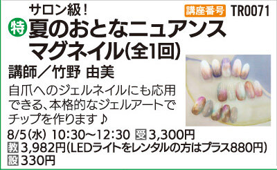 夏のおとなニュアンスマグネイル