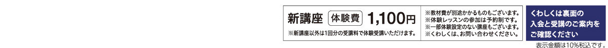 メゾンカルチャークラブ蘇我WEBチラシ