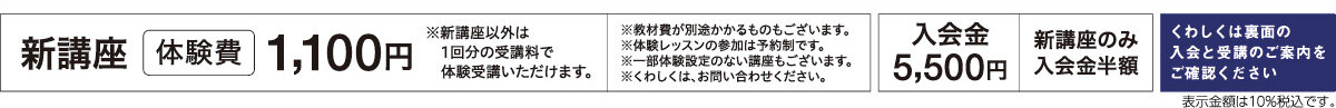 メゾンカルチャークラブ蘇我WEBチラシ