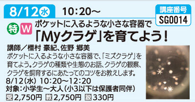 「Ｍｙクラゲ」を育てよう！