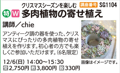 多肉植物の寄せ植え