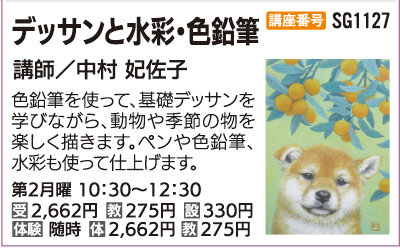 デッサンと水彩・色鉛筆