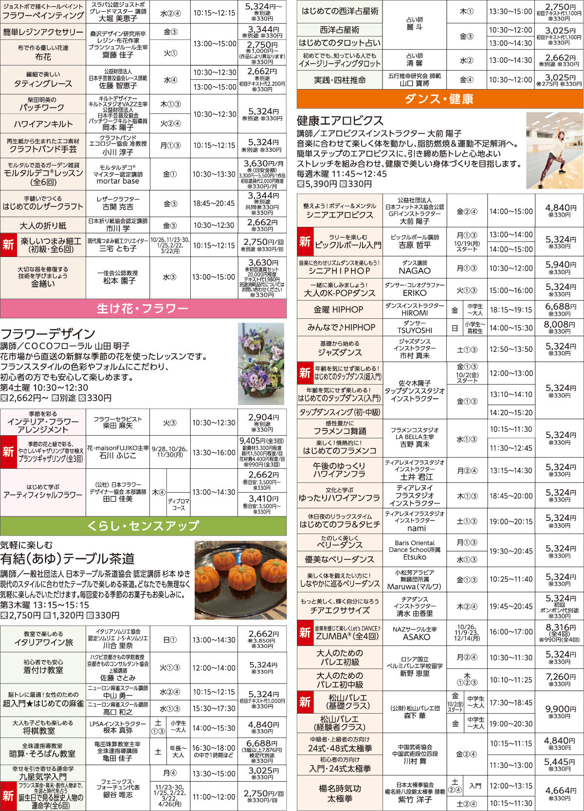 メゾンカルチャークラブ蘇我WEBチラシ