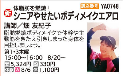 シニアやせたいボディメイクエアロ