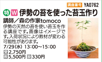 伊勢の苔を使った苔玉作り