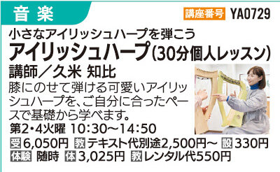 アイリッシュハープ30分個人レッスン