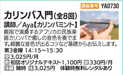 カリンバ入門