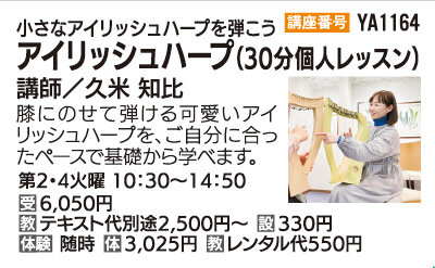 アイリッシュハープ30分個人レッスン