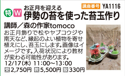 伊勢の苔を使った苔玉作り