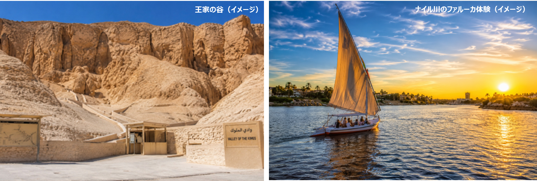 ■王家＆ファルーカ画像12.png