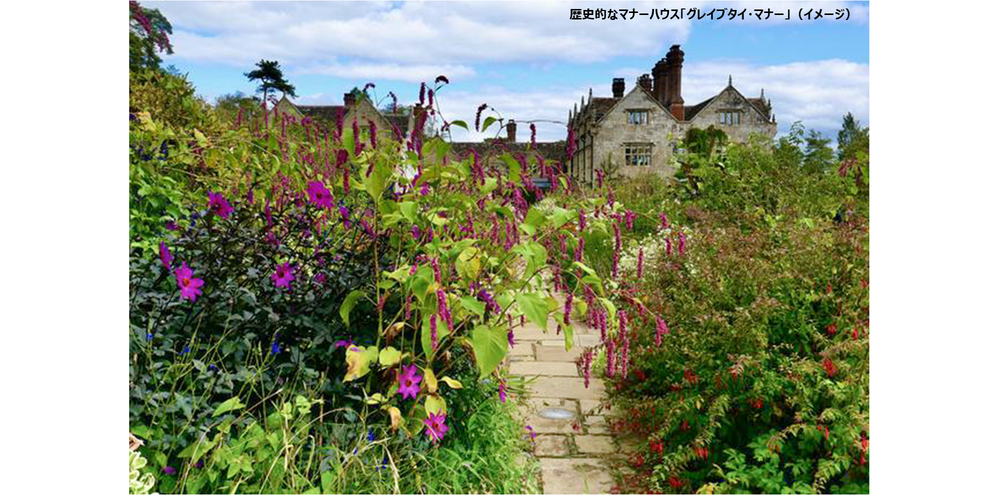③NEW画像3.png