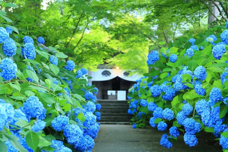 スケジュール1画像