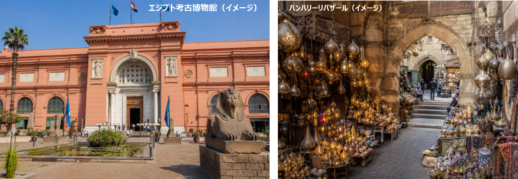 ■エジプト考古&バザール画像14.png