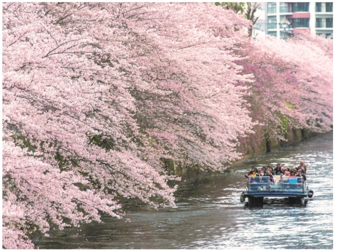 目黒川.jpg