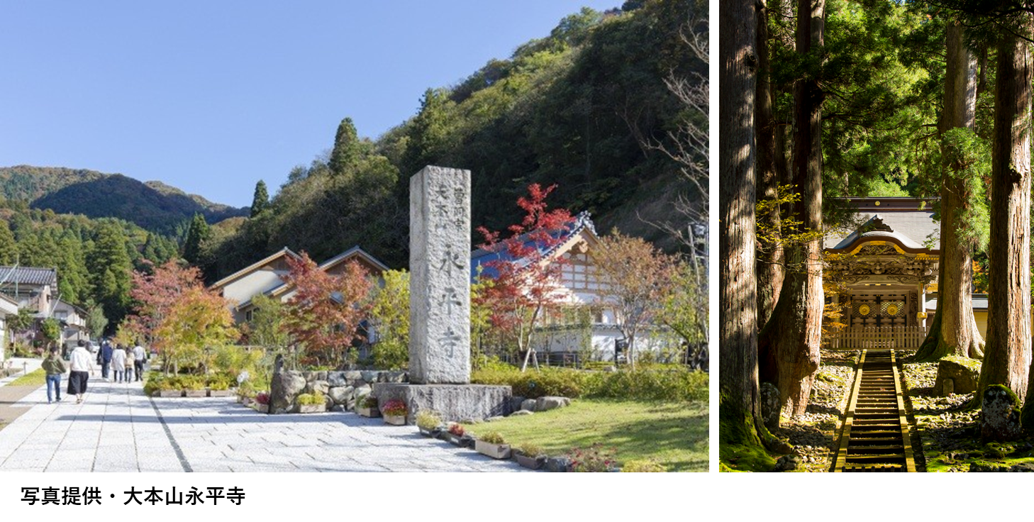 画像1.png