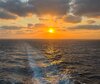 IMG_4882.jpg