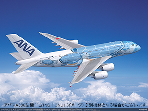 今年の夏休みは‟ハワイ”を感じましょう ‟空飛ぶウミガメ”ANA FLYING HONU 遊覧飛行チャーターフライト