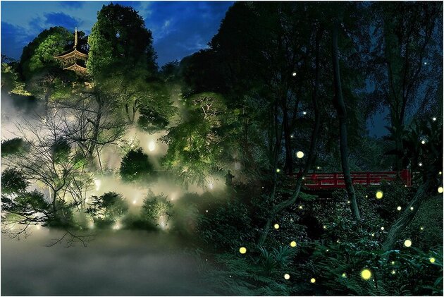ホテル椿山荘東京 ほたるの夕べディナービュッフェ