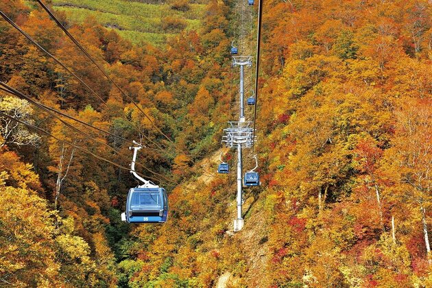 空と湖の絶景遊覧 錦秋の奥越後を巡る秋彩の旅2日間