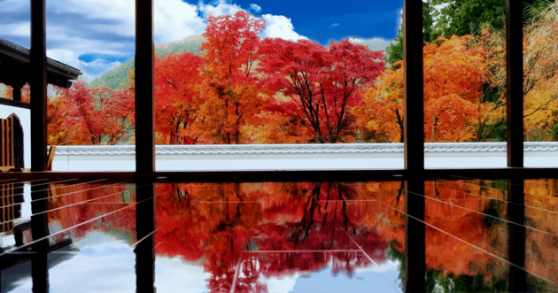 紅葉の絶景わたらせ渓谷鐡道「トロッコ列車」と 期間限定!庭園の紅葉を映し出す宝徳寺「床もみじ」