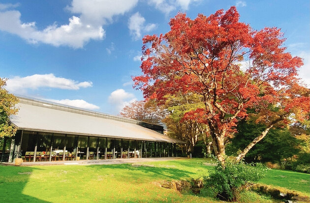 <日帰りバスの旅> 箱根ラリック美術館でアートランチを楽しむ、錦秋の箱根