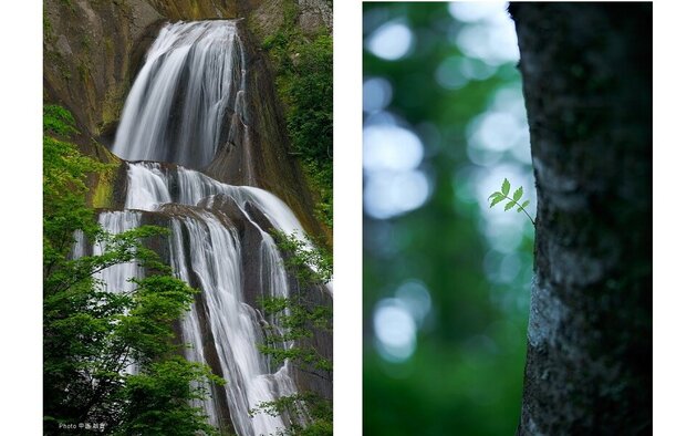 幾星霜(いくせいそう)を訪ねる<br /> まだ見ぬ風景 森・山・丘へ<br />美瑛・富良野 3日間