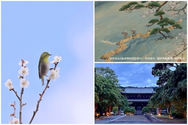 「昭和100年記念 あの頃は ~栖鳳・魁夷・又造らが起こした昭和の風~」<br> アートでひもとく 京都 2日間