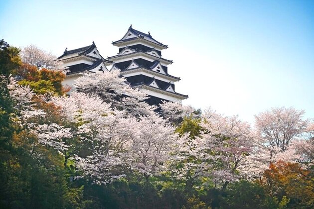 NIPPONIA HOTELに泊まり大洲城で特別体験<br> 桜舞う伊予路 2日間