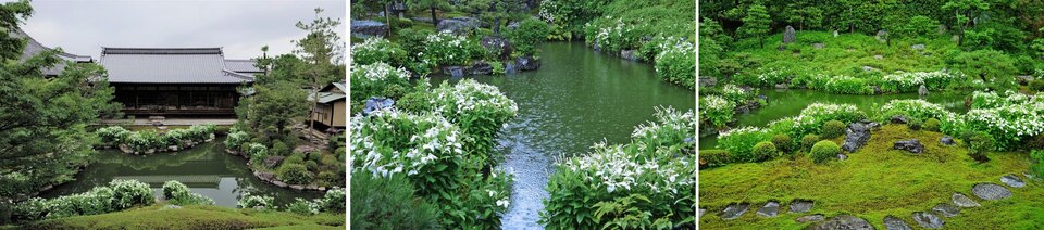 両足院まとめ.jpg