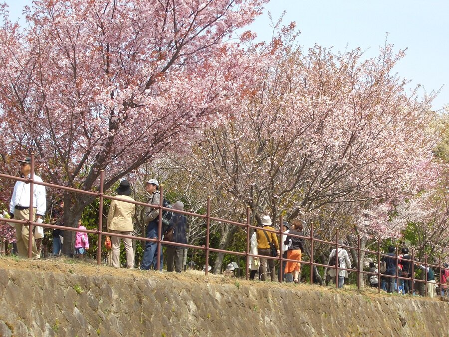 スケジュール1画像