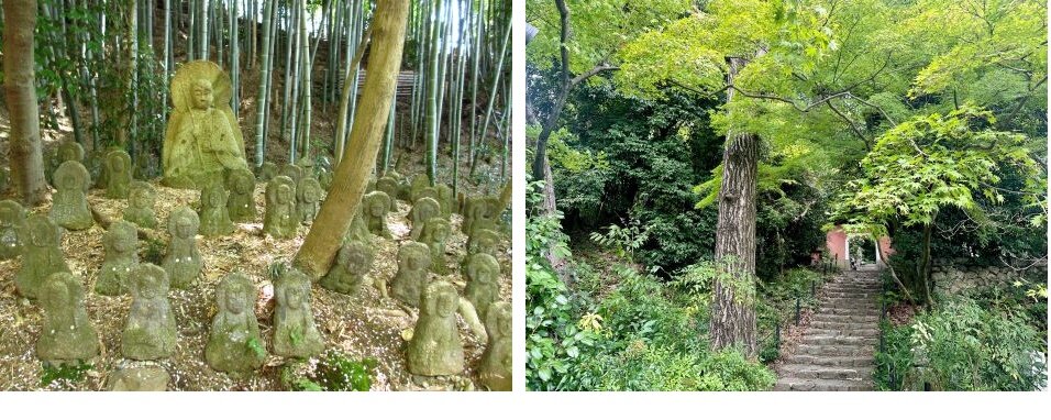 コラージュ　石峰寺02.jpg