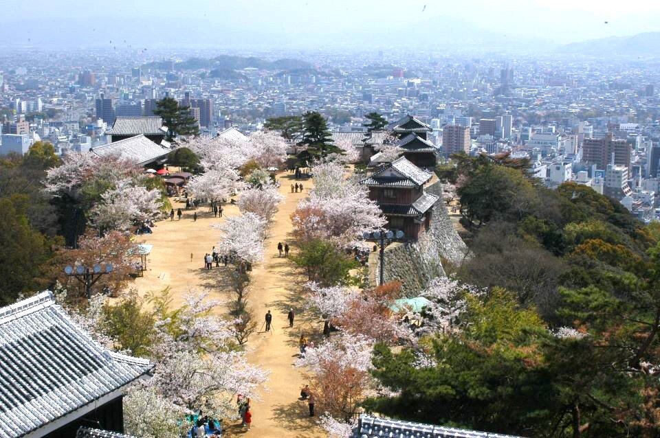 simg_0000220_5813明るさ調整済.jpg